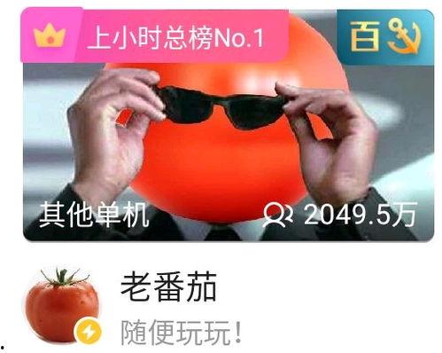 老番茄在哪个直播平台,揭秘直播平台上的魅力主播